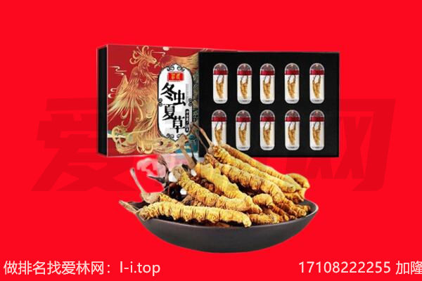 深圳市宝安回收虫草.jpg